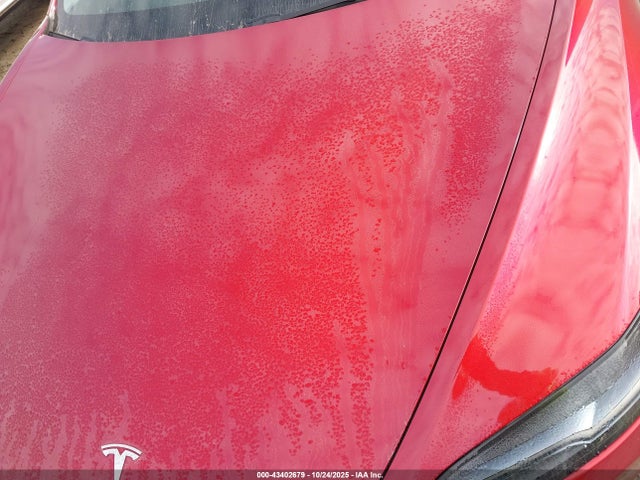 2025 TESLA MODEL 3 5YJ3E1EB6SF897442 Photo 9