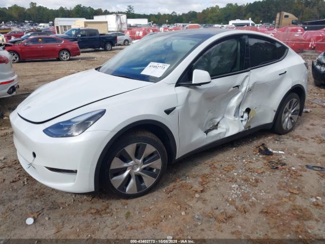 2023 TESLA MODEL Y 7SAYGDEE2PF697616 Photo 1