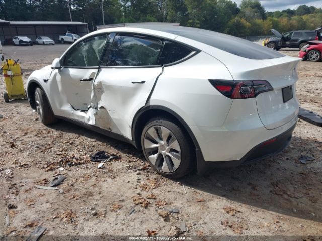 2023 TESLA MODEL Y 7SAYGDEE2PF697616 Photo 2