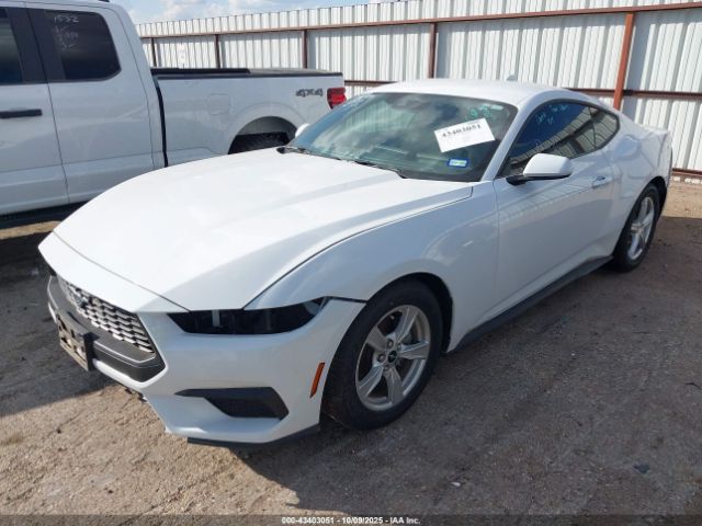 2024 FORD MUSTANG 1FA6P8TH5R5121473 Photo 1