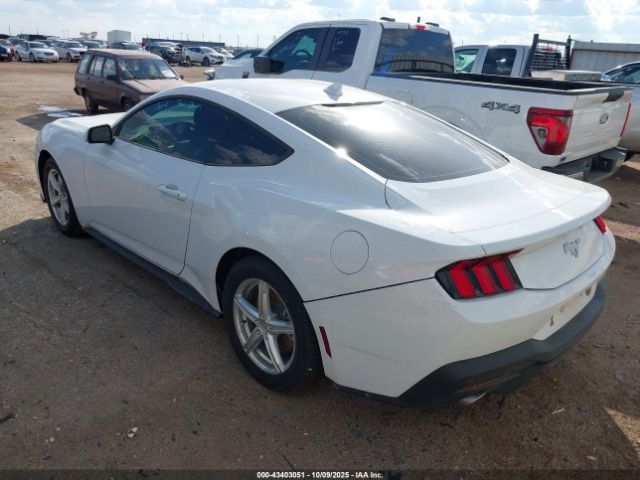 2024 FORD MUSTANG 1FA6P8TH5R5121473 Photo 2