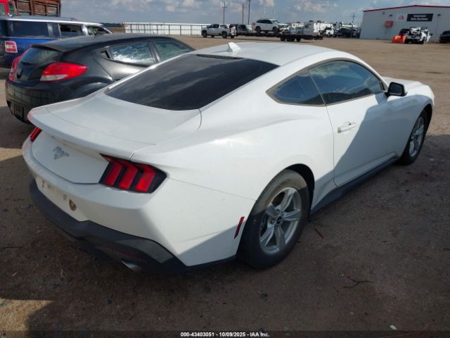 2024 FORD MUSTANG 1FA6P8TH5R5121473 Photo 3