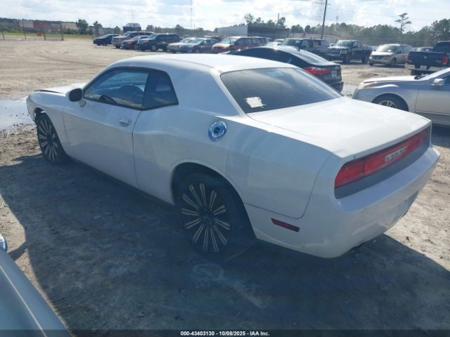 2014 DODGE CHALLENGER 2C3CDYAG0EH251037 Photo 2