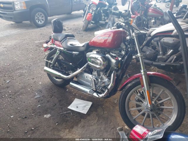 2007 HARLEY-DAVIDSON XL883 1HD4CN2187K456241
