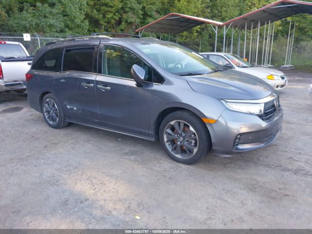 2023 HONDA ODYSSEY 5FNRL6H92PB026311