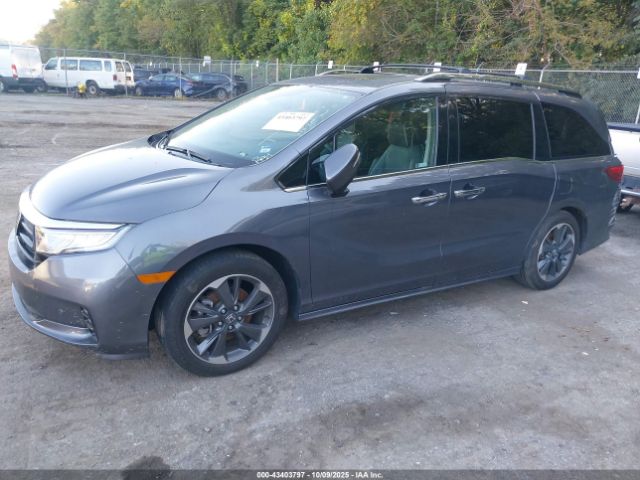 2023 HONDA ODYSSEY 5FNRL6H92PB026311 Photo 1