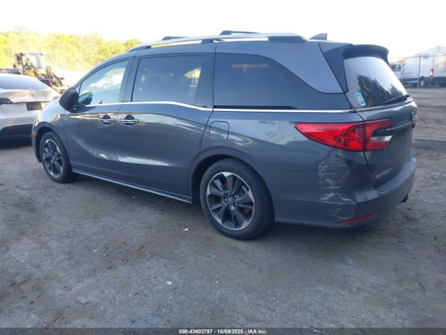 2023 HONDA ODYSSEY 5FNRL6H92PB026311 Photo 2