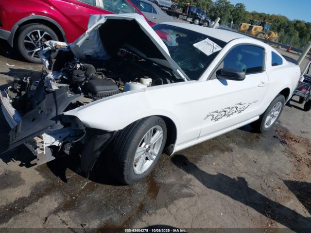 2014 FORD MUSTANG 1ZVBP8AM2E5251226 Photo 1