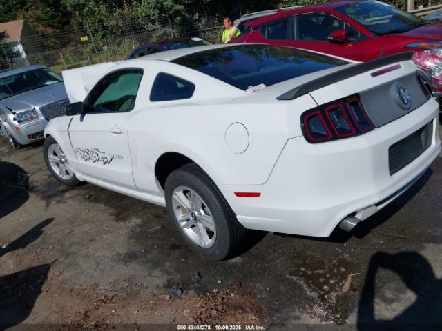 2014 FORD MUSTANG 1ZVBP8AM2E5251226 Photo 2