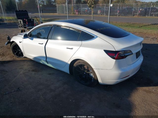2019 TESLA MODEL 3 5YJ3E1EA8KF312481 Photo 2