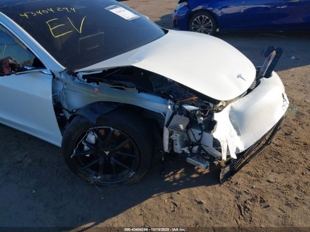 2019 TESLA MODEL 3 5YJ3E1EA8KF312481 Photo 5