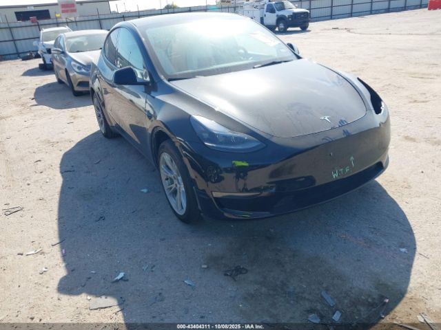 2023 TESLA MODEL Y 7SAYGDED1PF967684