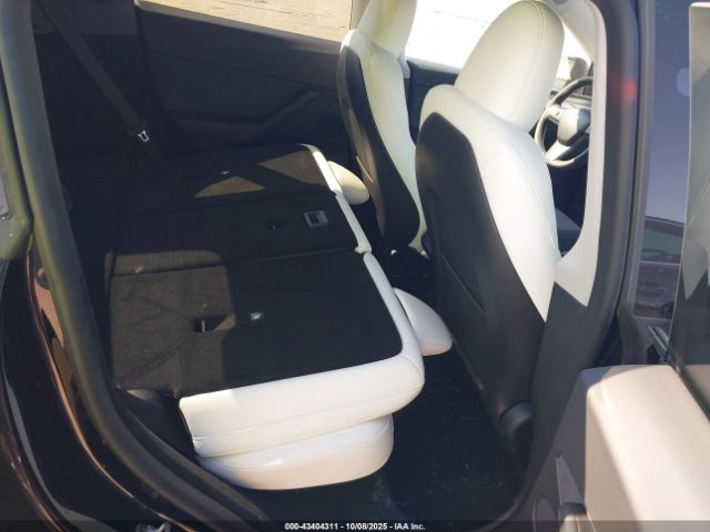 2023 TESLA MODEL Y 7SAYGDED1PF967684 Photo 7