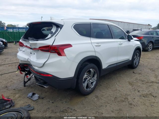 2023 HYUNDAI SANTA FE 5NMS14AJXPH649688 Photo 3