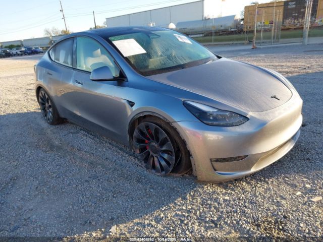 2024 TESLA MODEL Y 7SAYGDEF5RA312879