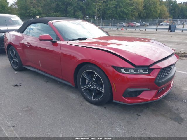 2024 FORD MUSTANG 1FAGP8UH8R5102354