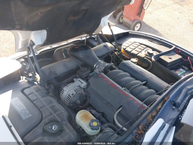 2004 CHEVROLET CORVETTE 1G1YY22G445108396 Photo 9