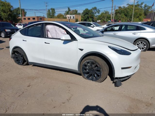 2024 TESLA MODEL Y 7SAYGDEE0RF027744 Photo 0