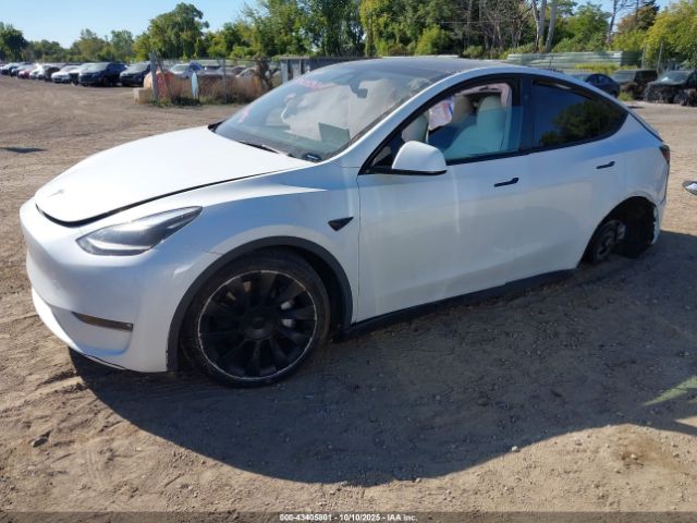2024 TESLA MODEL Y 7SAYGDEE0RF027744 Photo 1
