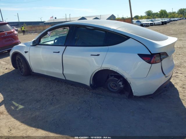 2024 TESLA MODEL Y 7SAYGDEE0RF027744 Photo 2