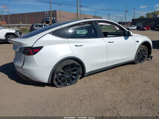 2024 TESLA MODEL Y 7SAYGDEE0RF027744 Photo 3