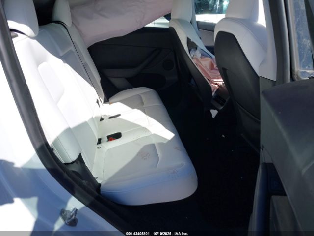 2024 TESLA MODEL Y 7SAYGDEE0RF027744 Photo 7