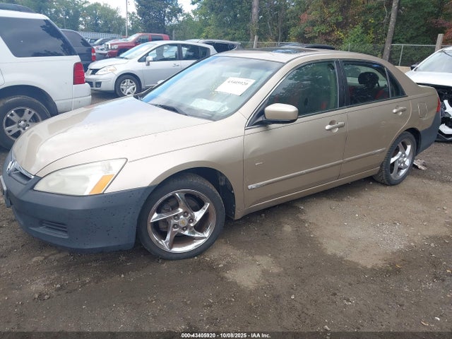 Auction sale of the 2006 Honda Accord 3.0 Ex, vin: 1HGCM66846A013923, lot number: 43405920