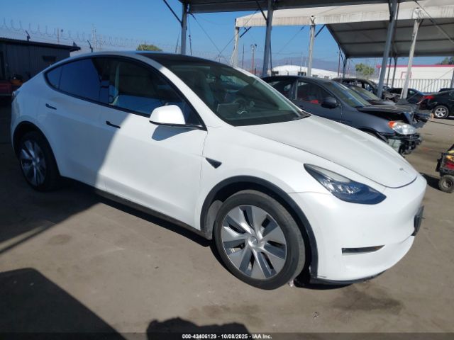 2020 TESLA MODEL Y 5YJYGDEE2LF053962