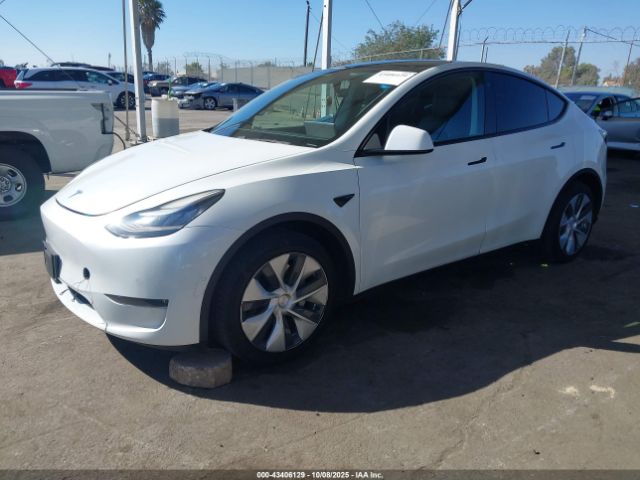 2020 TESLA MODEL Y 5YJYGDEE2LF053962 Photo 1