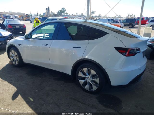 2020 TESLA MODEL Y 5YJYGDEE2LF053962 Photo 2