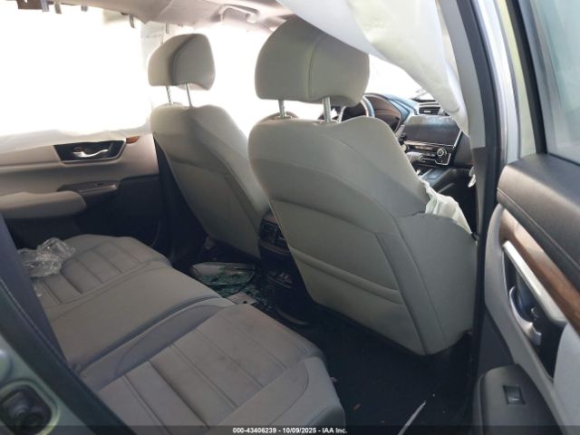 2019 HONDA CR-V 5J6RW1H52KA036047 Photo 7