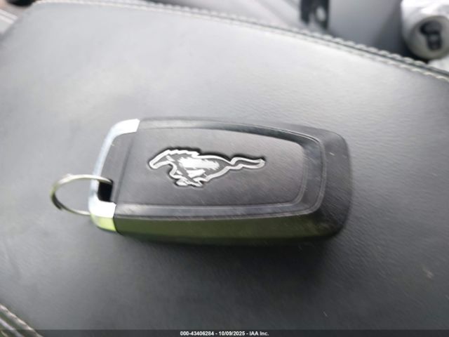 2024 FORD MUSTANG MACH-E 3FMTK3R70RMA52792 Photo 10