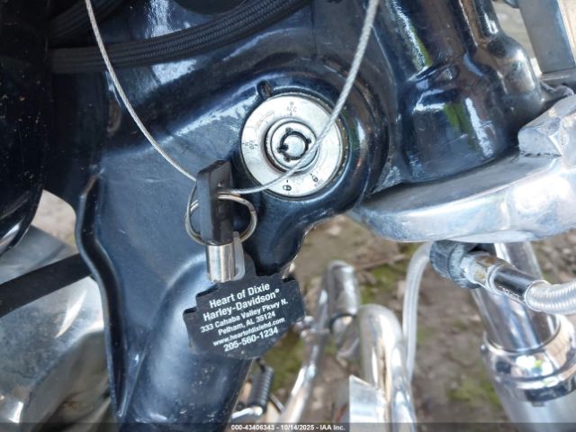 2009 HARLEY-DAVIDSON FXD 1HD1GM4139K302747 Photo 10