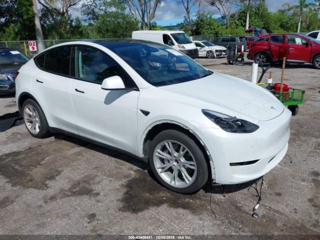 2023 TESLA MODEL Y 7SAYGDEE8PA167776 Photo 0