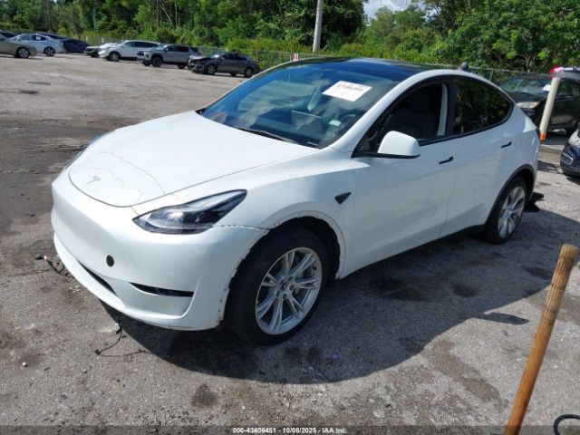2023 TESLA MODEL Y 7SAYGDEE8PA167776 Photo 1