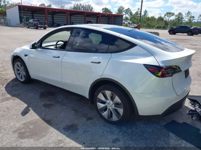2023 TESLA MODEL Y 7SAYGDEE8PA167776 Photo 2
