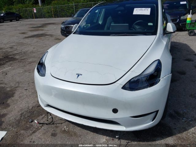 2023 TESLA MODEL Y 7SAYGDEE8PA167776 Photo 5