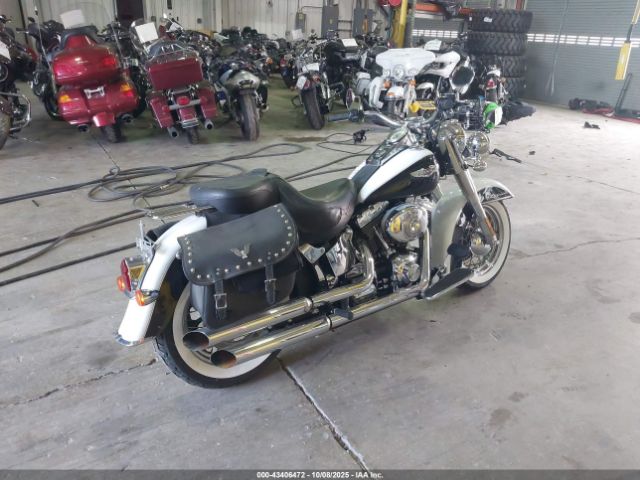 2006 HARLEY-DAVIDSON FLSTNI 1HD1JDB126Y066850 Photo 3