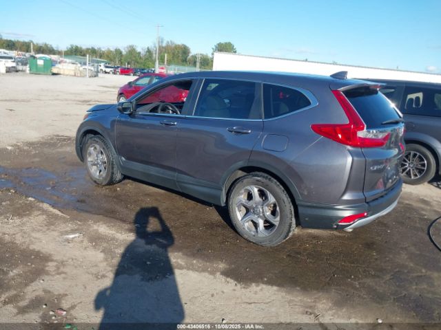 2019 HONDA CR-V 7FARW2H52KE062137 Photo 2