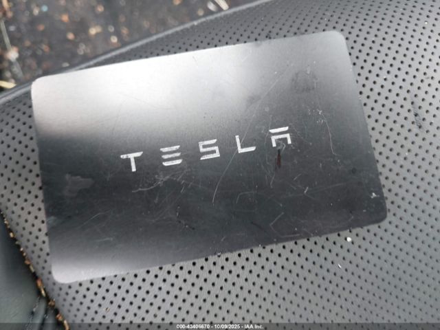 2025 TESLA MODEL 3 5YJ3E1EA3SF951335 Photo 10
