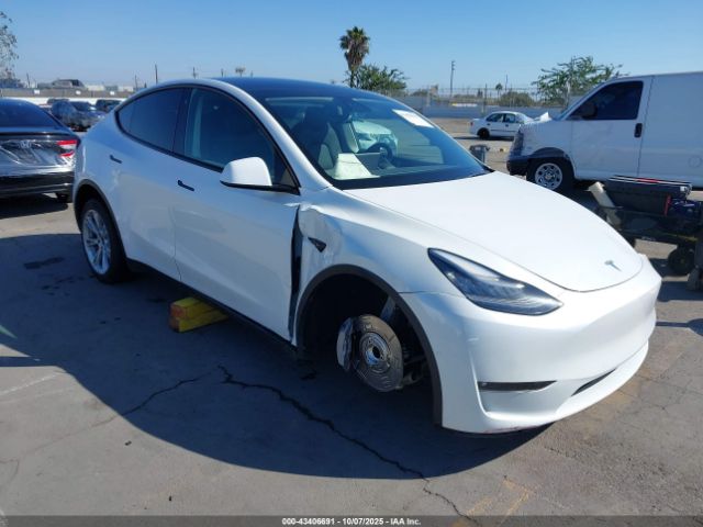 2021 TESLA MODEL Y 5YJYGDED4MF110400 Photo 0