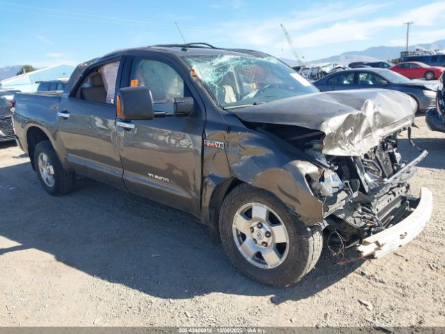 2013 TOYOTA TUNDRA 5TFHY5F19DX290437