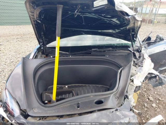 2025 TESLA MODEL 3 5YJ3E1EB8SF925709 Photo 9