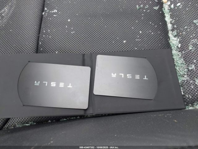 2025 TESLA MODEL 3 5YJ3E1EB8SF925709 Photo 10