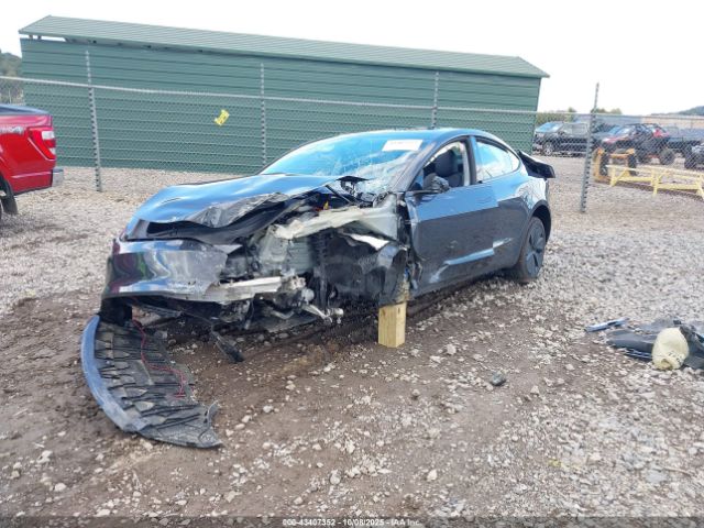 2025 TESLA MODEL 3 5YJ3E1EB8SF925709 Photo 1