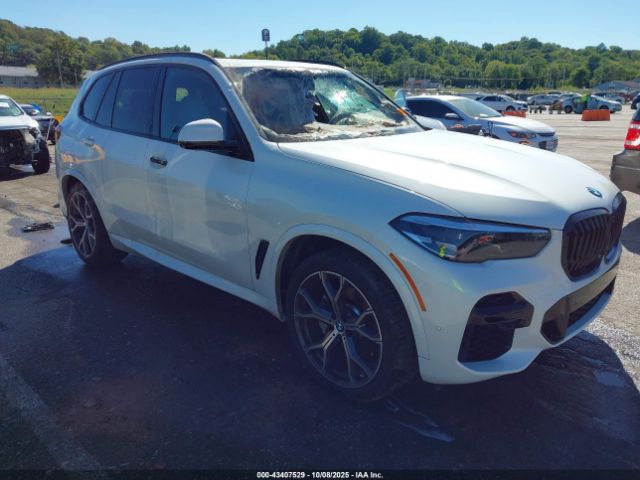 2023 BMW X5 5UXCR6C0XP9P31217
