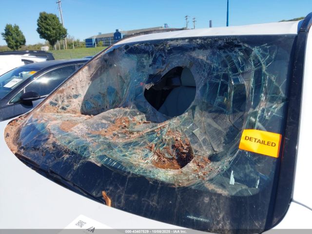 2023 BMW X5 5UXCR6C0XP9P31217 Photo 5