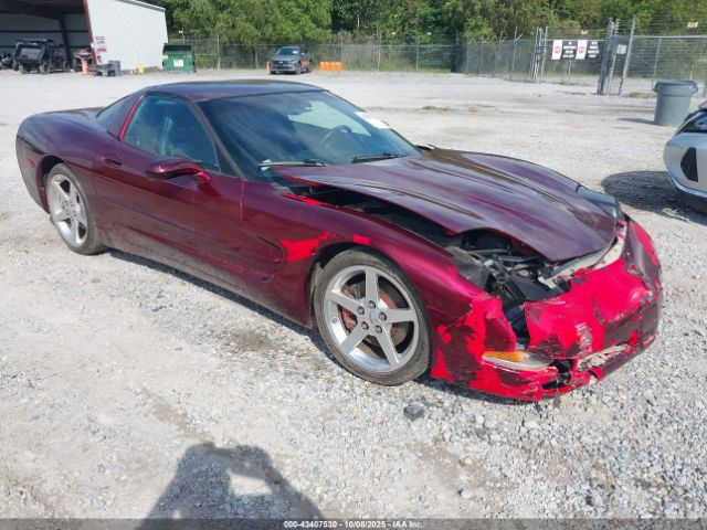 2002 CHEVROLET CORVETTE 1G1YY22G925121092