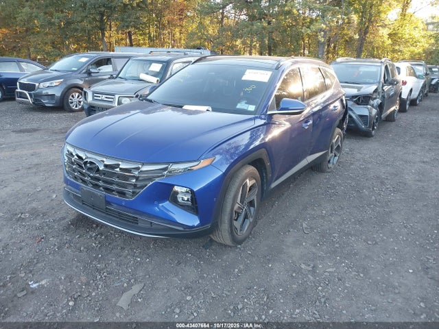Продаж на аукціоні авто 2024 Hyundai Tucson Limited, vin: 5NMJE3DEXRH356434, номер лоту: 43407664