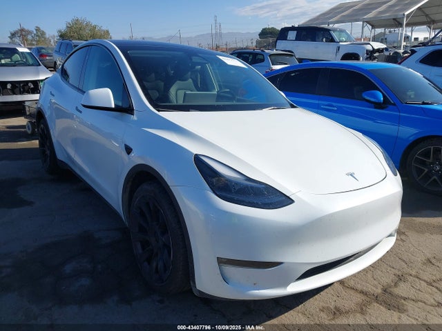 2023 TESLA MODEL Y 7SAYGDEE6PF870456 Photo 0